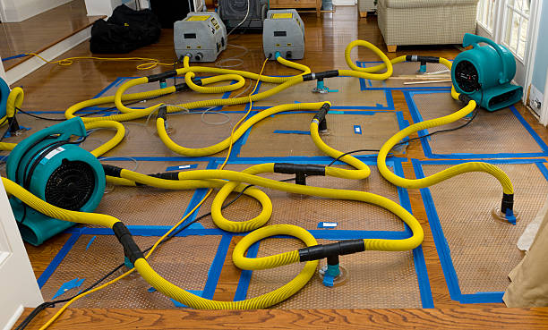 Professional Burst Pipe Water Damage technician working in Gypsum, CO